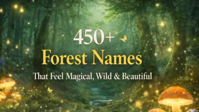 450+ Forest Names That Feel Magical, Wild & Beautiful