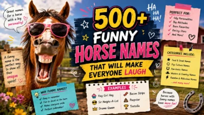 500+ Funny Horse Names That Will Make Everyone Laugh