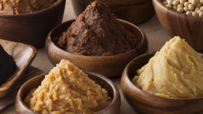 Fermentation Frontiers