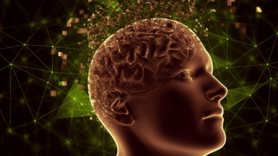 The Gut-Brain Axis