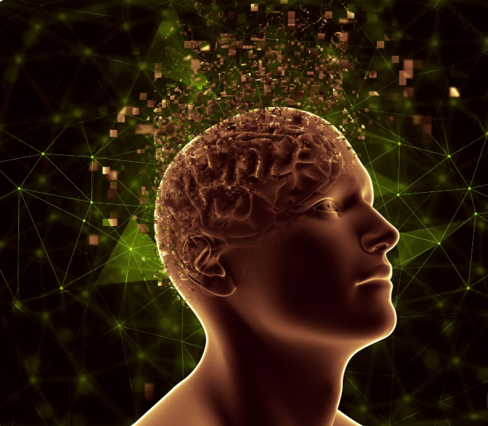 The Gut-Brain Axis