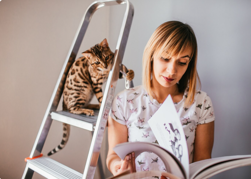 The Biological Clock of Felines