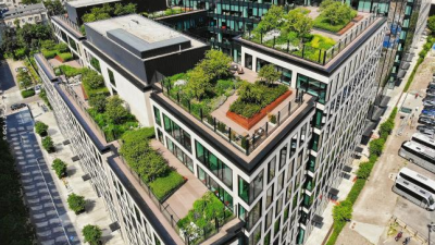 The Urban Heat Island Response
