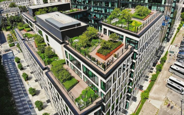 The Urban Heat Island Response